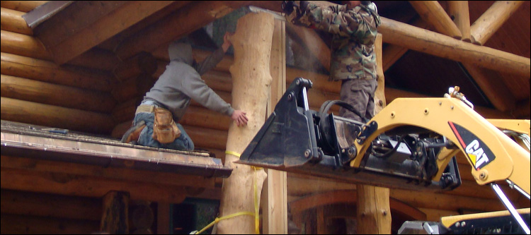 Log Home Log Replacement  Townsville,  North Carolina