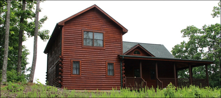 Professional Log Home Borate Application  Henderson,  North Carolina